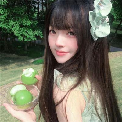抵挡太平洋的堤坝