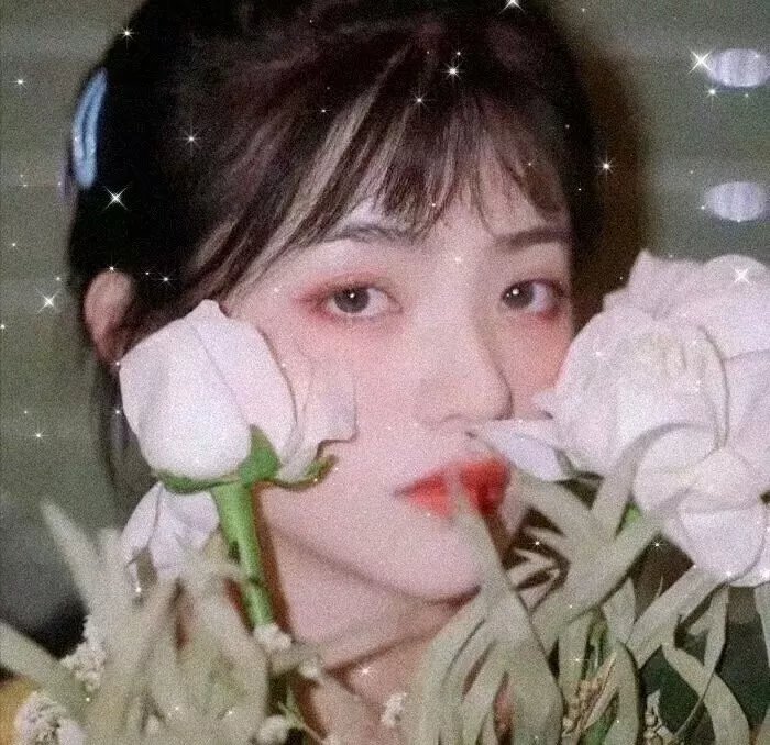 一路格桑花